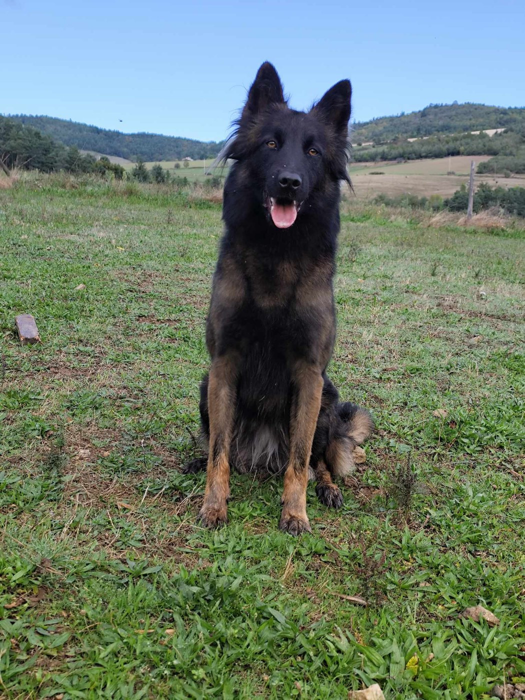 T'ultra des crocs du vivarais